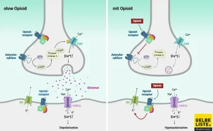 Opiate & Opioide