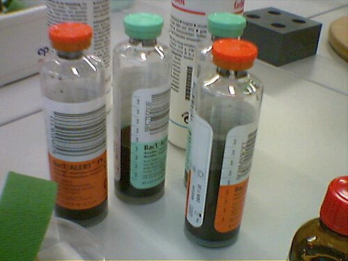 Blutkultur_-_blood_culture Blutkultur_-_blood_culture